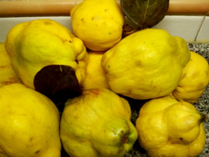 hacer dulce de membrillo casero hacer dulce de membrillo casero